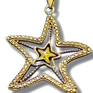 Love Earth Signed Vintage Sterling Silver  and 10K Yellow Gold Starfish Pendant